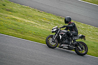 Lower Group Silver_Grey Bikes